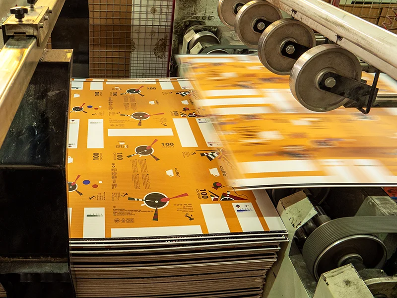 scat-packaging-stampa-su-cartone